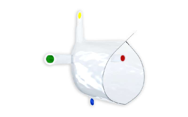 Worek do morcelacji dla chirurgii ginekologicznej